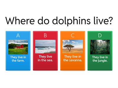 Animal Habitats A1-A1+