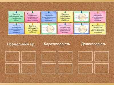 Вади зору та їх корекція