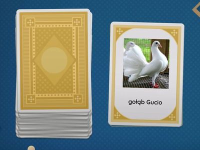 Leon A. [g], [gi], [v] grupy wyrazowe BEZ [L], [r], [s...], [sz...]