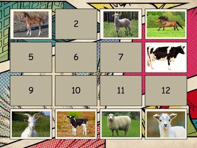 Камила пмно24-1 1сынып