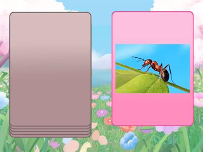 Beginner - Oxford Letter Aa