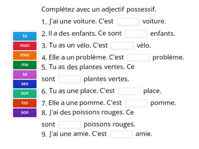 Les adjectifs possessifs 