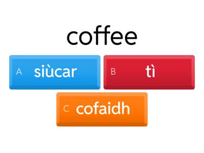 Duo Learns Scottish Gaelic: Meet with people