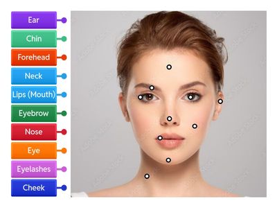 Face - Read and match