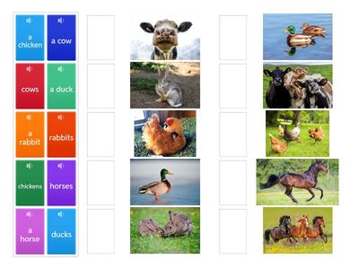 Singular - Plural: Farm Animals 