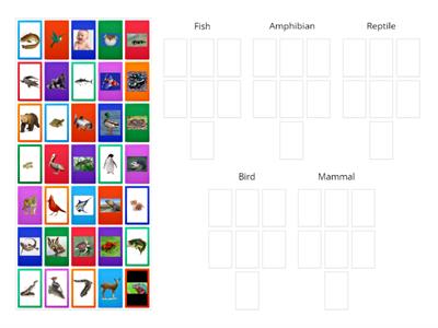 Horrell--Animal Classification Group Sort