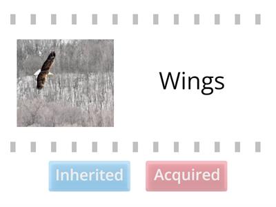 Inherited or Acquired?