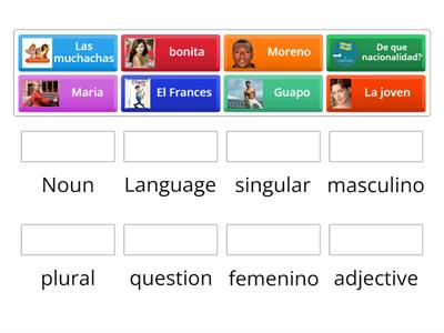 Spanish Adjectives