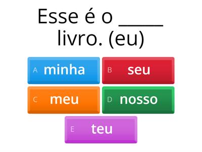 Pronomes possessivos