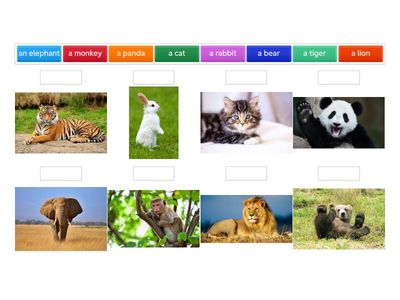 1A Unit 5 Vocabulary