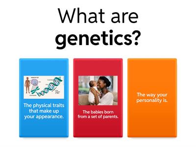 Inheritance Vocab Quiz