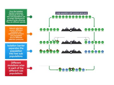 Nat 5 KA6 Speciation Labelled Diagram
