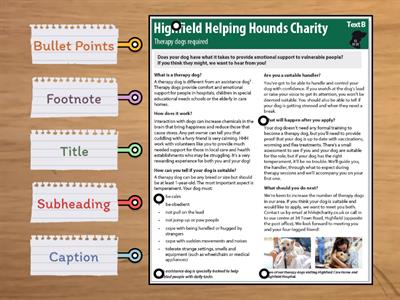 Organisational and Structural Features