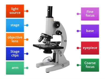 Microscope