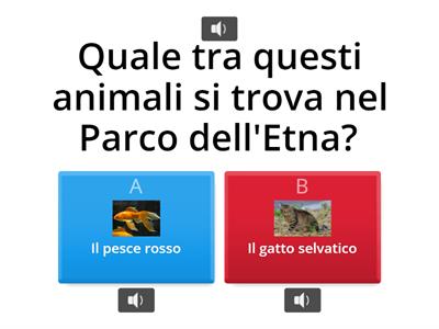 FAUNA E FLORA DELL'ETNA