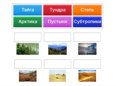 Природные зоны