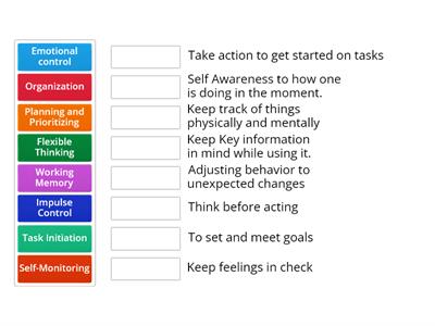 Executive Function Wedges