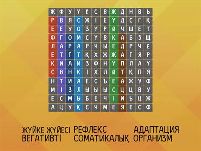 Өзбектің кемпірлері