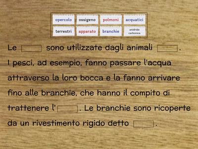 La respirazione degli animali