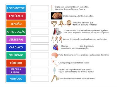 SISTEMAS LOCOMOTOR E NERVOSO