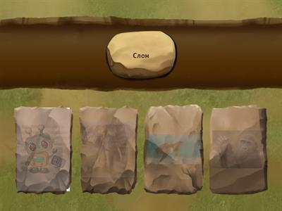 Частини тіла