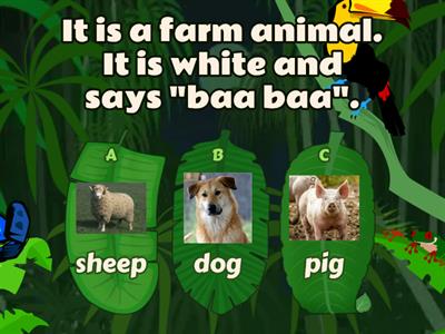 Animal Riddles (P1) 