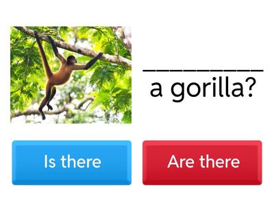 Is there / Are there ?