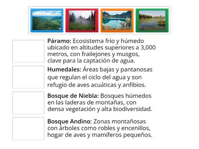 Los Ecositemas Locales. 