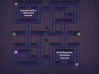Science Form 1 - Organisma Unisel & Multisel