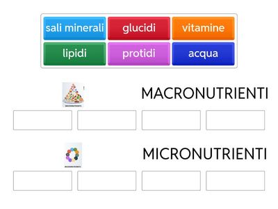 macronutrienti e micronutrienti