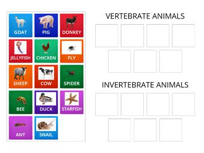 1- VERTEBRATE OR INVERTEBRATE?