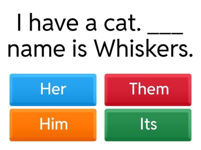 Pronoms et Adjectifs Possessifs