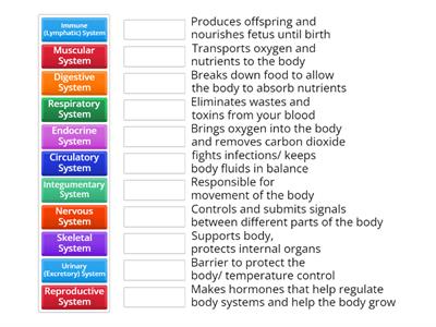 Body Systems 