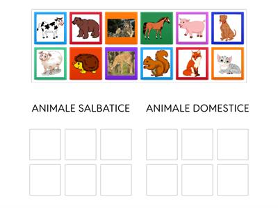 Animale salbatice si domestice