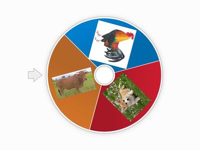 VÒNG QUAY ĐỐ VUI