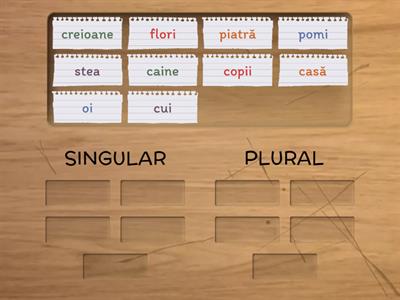 SINGULAR-PLURAL