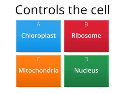 Quiz Cell structure functions (national 5)