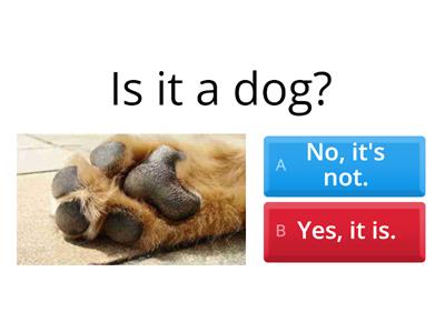 WWW2_Unit 1_Sentence Pattern_Is it a ??