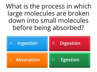 DIGESTIVE SYSTEM, TEETH AND THE TRACHEA