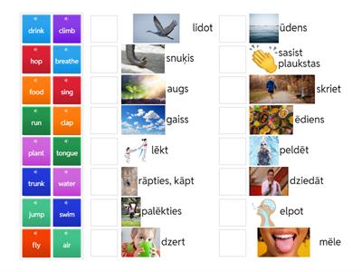 Vocabulary (grade 2) can