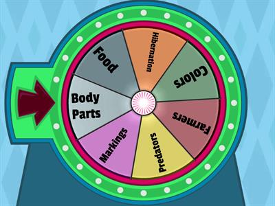 Ladybug Background Knowledge