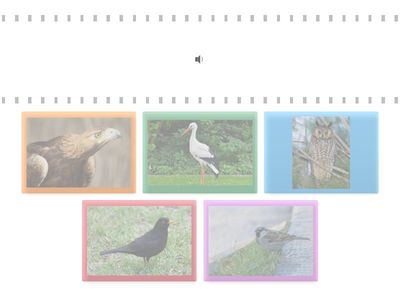 Madarak hangja - Gábornak