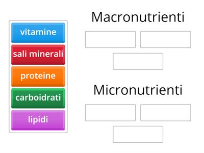 Macronutrienti e micronutrienti