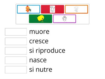 caratteristiche degli esseri viventi (maestra Alessandra)