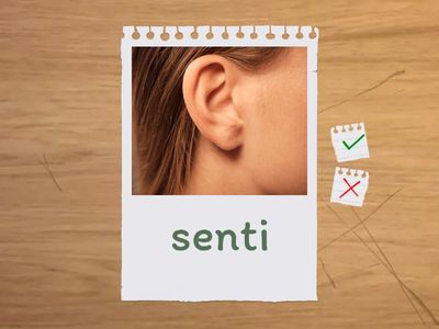 Saluti / Risposte / Espressioni extra