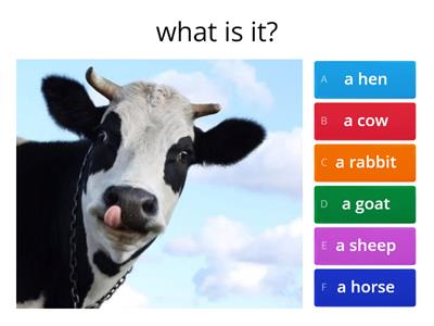 Farm animals quiz