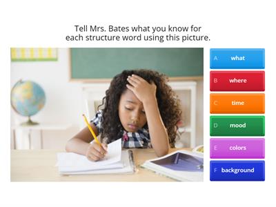 Visualizing and Verbalizing