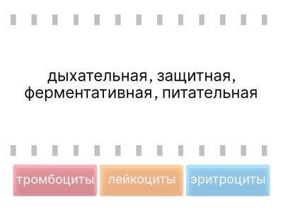 функции клеток крови