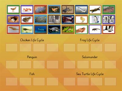 Life Cycle Sort