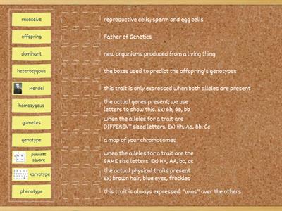 Unit 10 Genetics Vocabulary